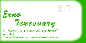 erno temesvary business card